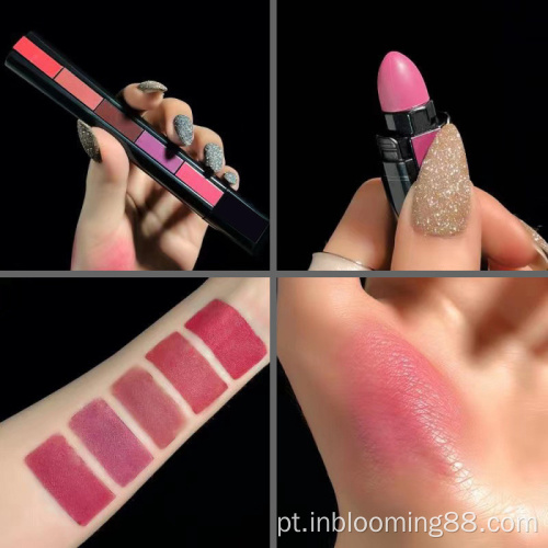 Baixo MOQ Color Lipstick Pró Longlasting Matte